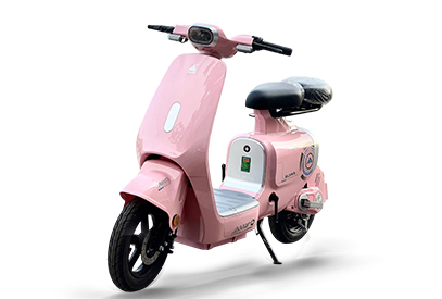 Xe Đạp Điện ALLY Elyas