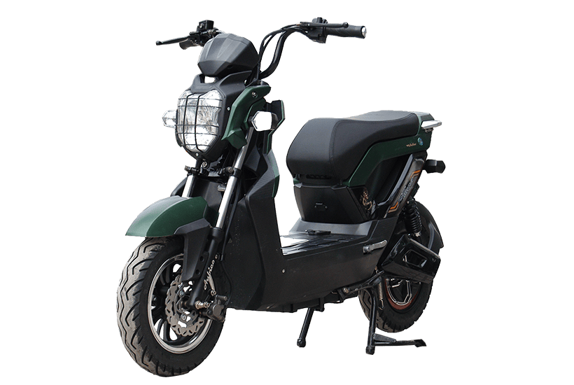 XE MÁY ĐIỆN ZOOMER 2019