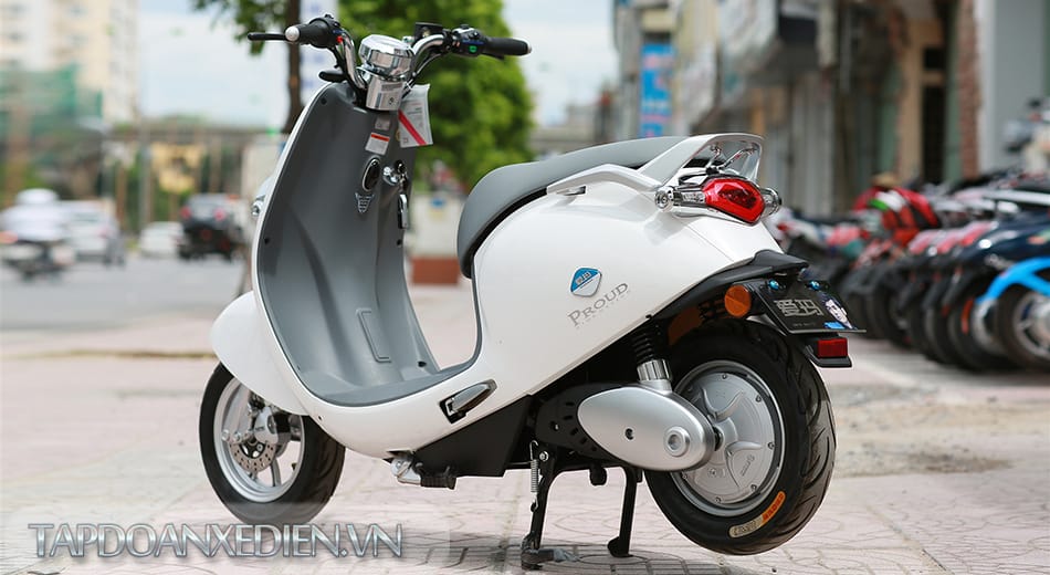 XE MÁY ĐIỆN AIMA P