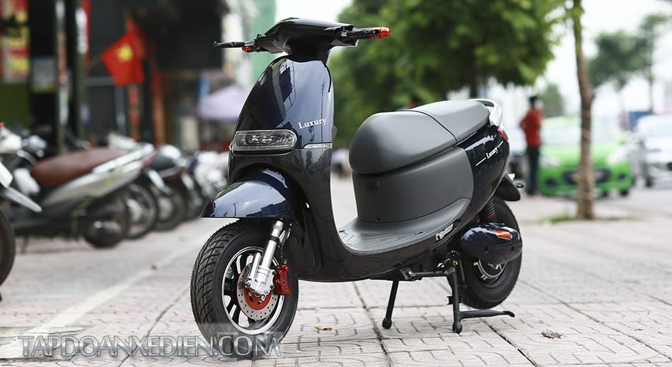 XE MÁY ĐIỆN GOGO ZIP 2016