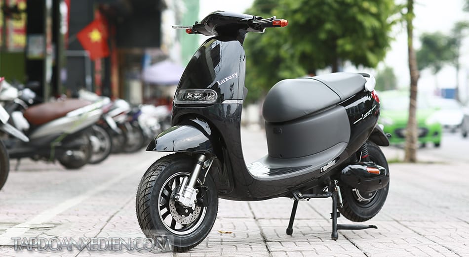 XE MÁY ĐIỆN GOGO ZIP 2016