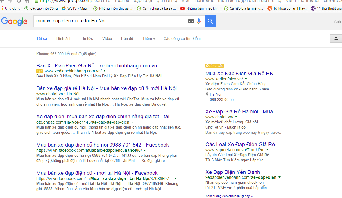 Chọn mua xe đạp điện giá rẻ tại Hà Nội